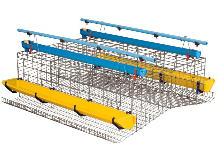 Layer cage set for egg production